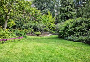 Optimiser l'expérience du jardin à Domart-sur-la-Luce